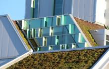 Green roof at Algonquin College