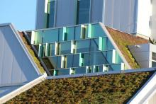 Green roof at Algonquin College