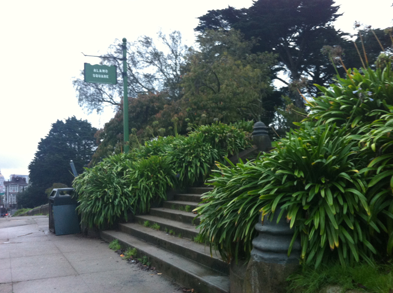 Alamo Square, San Francisco